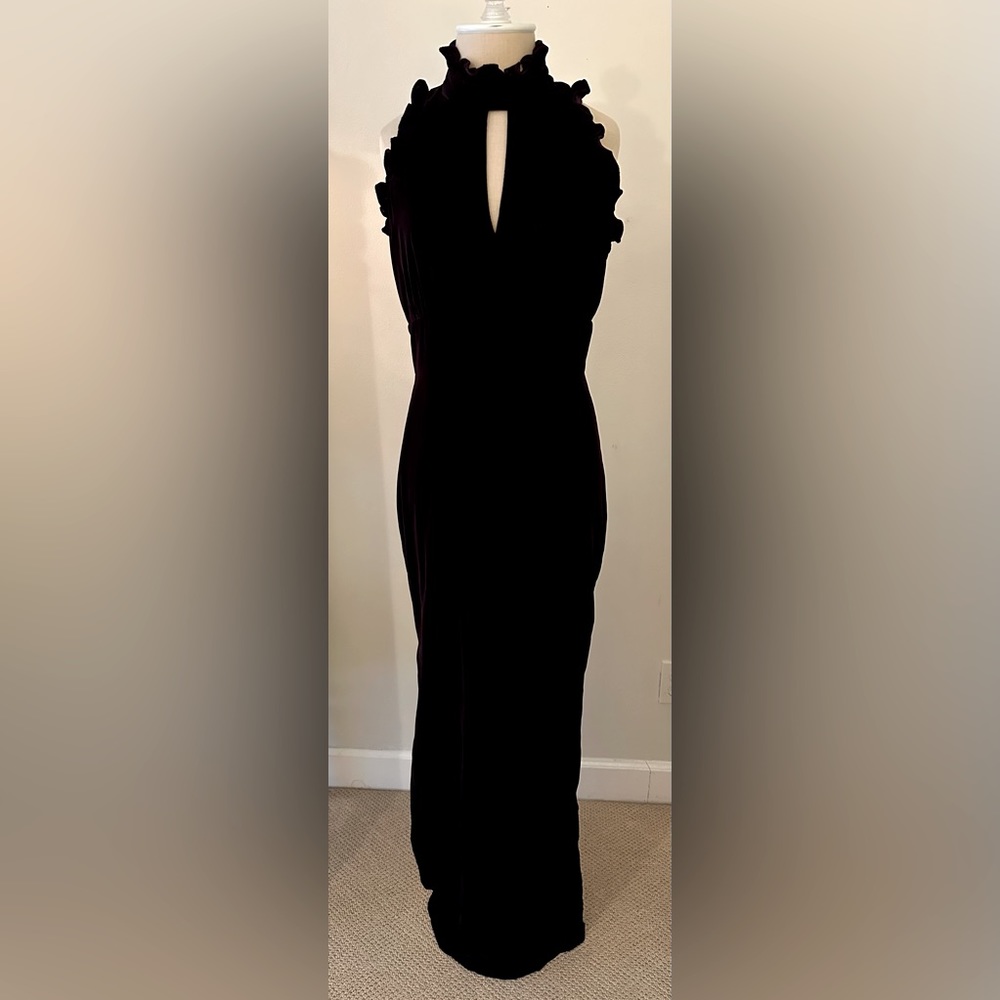 Shoshanna Alyssa Velvet Evening Gown (color: plum)